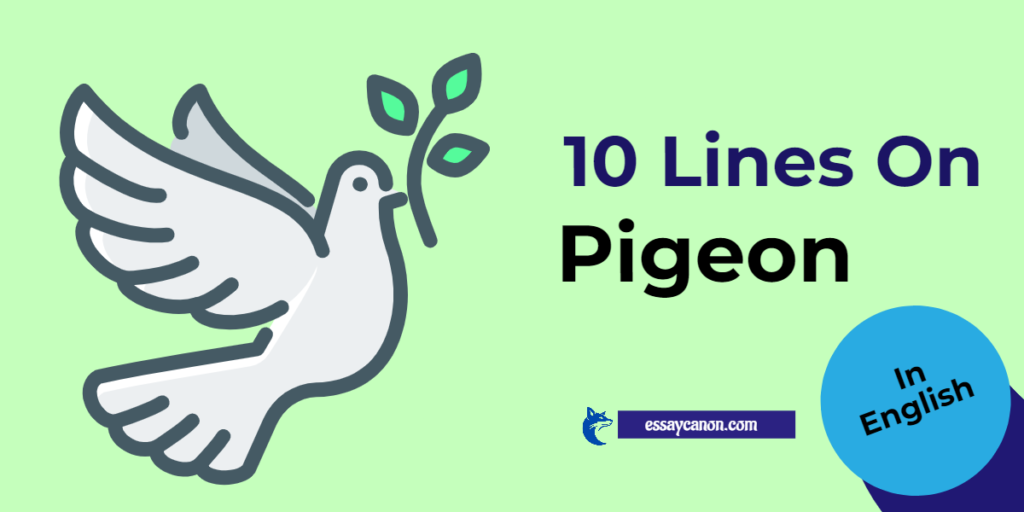 10 Lines on Pigeon in English