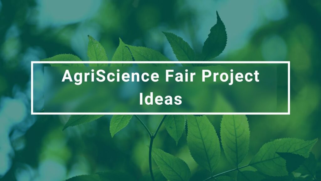 AgriScience Fair Project Ideas